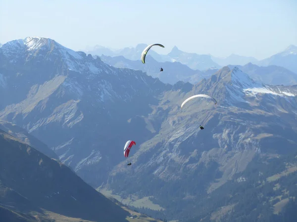 Group Paragliders Pizol Gallen Switzerland — Stock Photo, Image