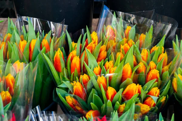 Bunch Vibrant Red Orange Tulips Plastic Wrappings Local Florists Market — Stock Photo, Image