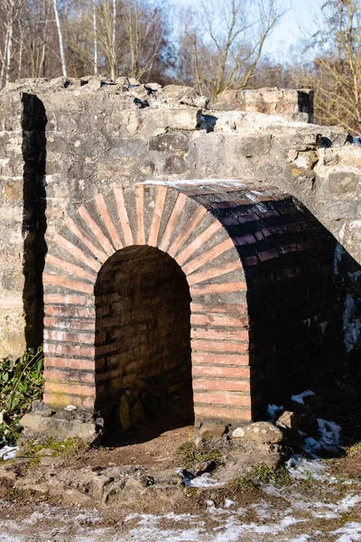 Vertical Shot Old Arched Cellar Forest — Stock Photo, Image