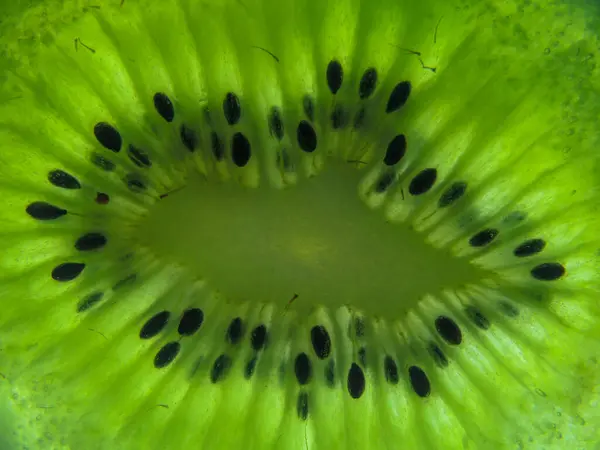 Gros Plan Détails Dans Kiwi — Photo