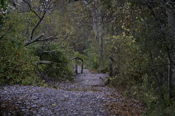 Eine Schöne Aufnahme Der Holzbrücke Wald Herbst — Stockfoto