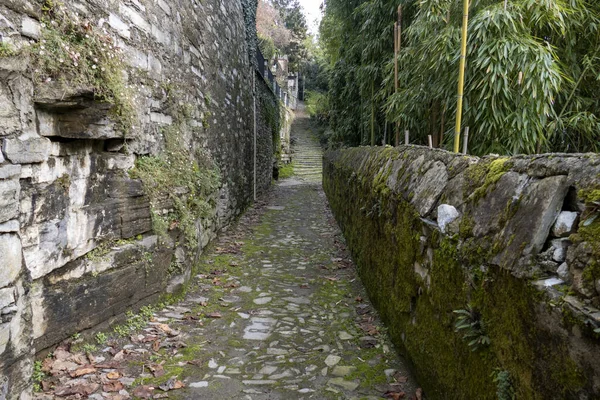 苔や紅葉に覆われた古い石造りの建物を抜ける細い道 — ストック写真