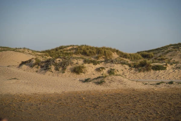 Paesaggio Deserto Sotto Cielo Limpido Sole — Foto Stock
