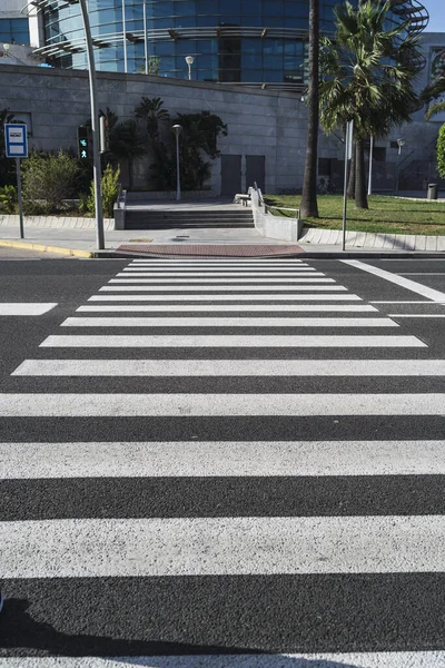 Vertical Shot Zebra Crossing Sunny Day Outdoors — Stock Photo, Image