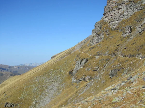 Una Ruta Senderismo Macizo Pizol Los Senderos Empinados Ofrecen Vistas — Foto de Stock