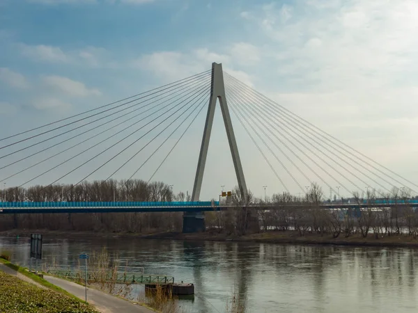 俯瞰莱茵河对岸的桥 靠近纽韦德区 复制空间 — 图库照片