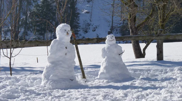 Gros Plan Deux Bonhommes Neige Drôles Dans Parc Hivernal Enneigé — Photo