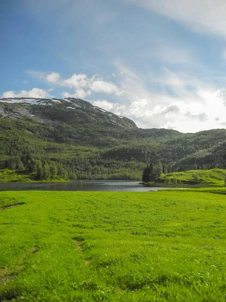 Eine Vertikale Aufnahme Eines Sees Den Bergen Norwegens — Stockfoto