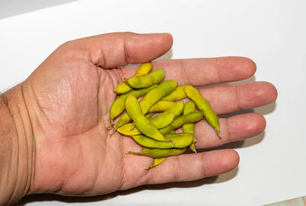 Closeup Shot Soybeans Hand — Stock Photo, Image