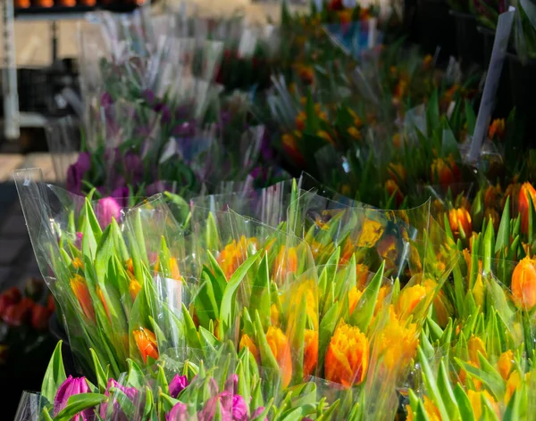 Bando Tulipas Vermelhas Laranja Vibrantes Embalagens Plástico Mercado Florista Local — Fotografia de Stock