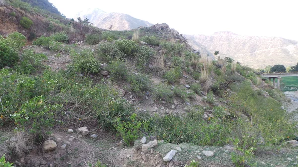 Une Région Rocheuse Des Collines — Photo