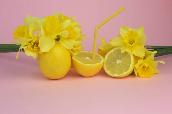 Tiro Close Limões Com Uma Palha Plástico Narcisos Fundo Rosa — Fotografia de Stock