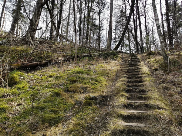 Egy Gyönyörű Felvétel Rekkevikről Norvégiából — Stock Fotó