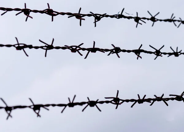 Eine Nahaufnahme Rostiger Stacheldrähte Vor Bewölktem Himmel — Stockfoto