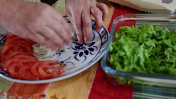Una Persona Que Organiza Tomates Rodajas Cebollas Para Una Ensalada — Vídeos de Stock