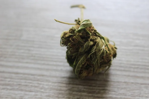 Closeup Shot Cannabis Table — Stock Photo, Image