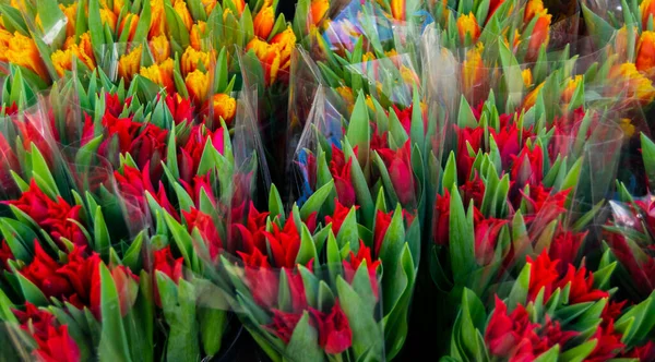 Bunch Vibrant Red Orange Tulips Plastic Wrappings Local Florists Market — Stock Photo, Image