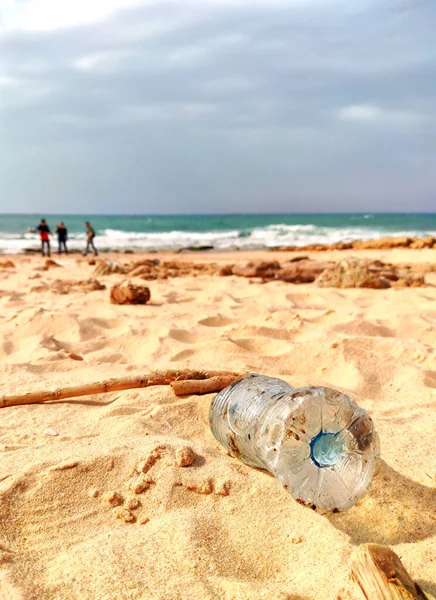 Plastic Bottle Beach Earth Marine Life — Stock Photo, Image