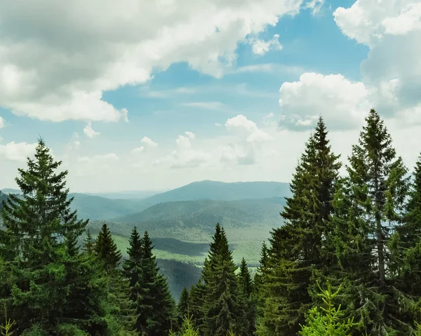 Uma Bela Paisagem Montanhosa Com Árvores Vegetação Sob Céu Nublado — Fotografia de Stock