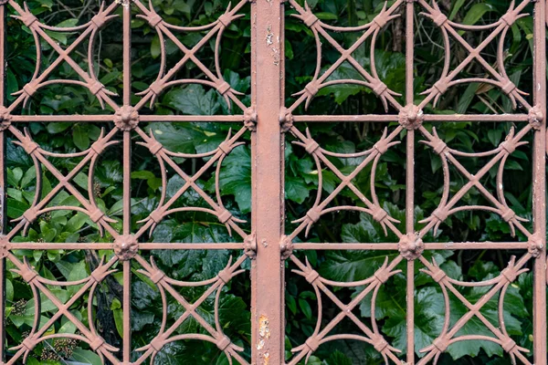 Tiro Close Uma Cerca Metal Com Padrão Geométrico Contra Arbusto — Fotografia de Stock