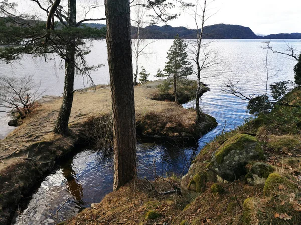 Een Prachtig Landschap Van Een Meer Omringd Door Bomen Bergen — Stockfoto