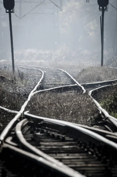 Vertical Shot Railroad — Stok fotoğraf