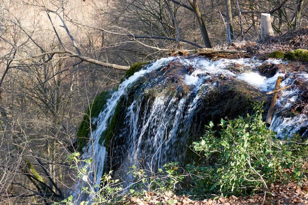 Cliché Une Petite Cascade Dans Une Montagne Forestière — Photo