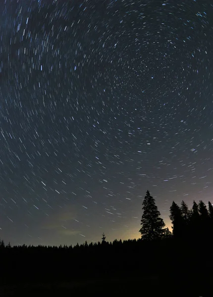 Las Siluetas Los Pinos Cielo Nocturno Con Estrellas Giratorias Polvo — Foto de Stock