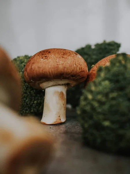 Närbild Isolerad Brunvit Svamp Bredvid Grön Broccolis — Stockfoto