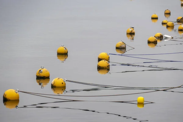 Las Viejas Boyas Amarillas Lago Tranquilo — Foto de Stock