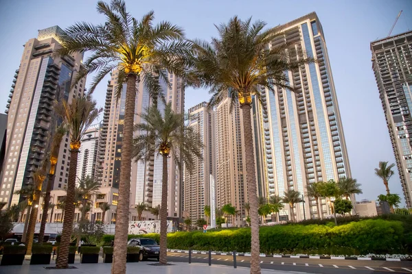 Dubai City Scape Palm Trees Lights Tall Buildings — Stock Photo, Image