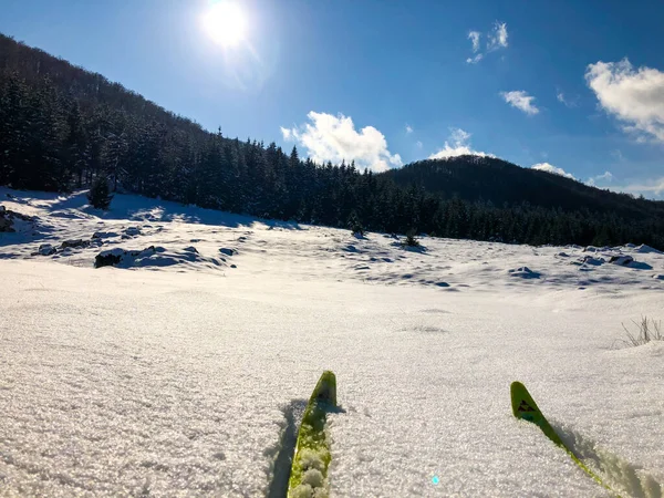 晴れた日には雪に覆われた森の中の黄色いクロスカントリースキー — ストック写真