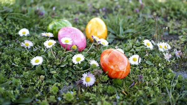 Lnen Γερμανια Απρ 2021 Μερικά Πολύχρωμα Πασχαλινά Αυγά Ένα Καταπράσινο — Φωτογραφία Αρχείου