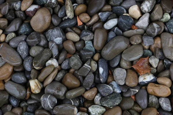 Крупним Планом Знімок Купи Морських Каменів Гальки — стокове фото