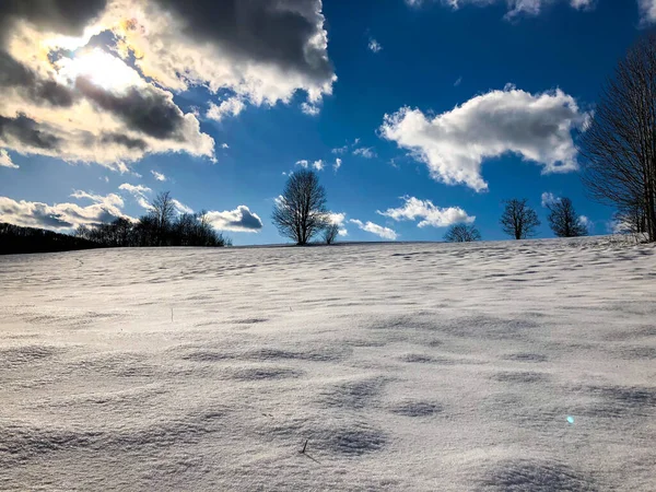 Een Prachtig Winterlandschap Onder Een Bewolkte Hemel — Stockfoto