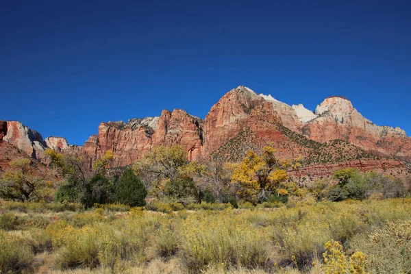 Uma Vista Das Paredes Rochosas Parque Nacional Zion Utah Eua — Fotografia de Stock