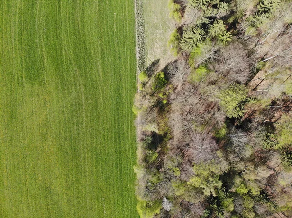 Een Luchtfoto Van Een Landschap Met Prachtig Groen Duitsland — Stockfoto