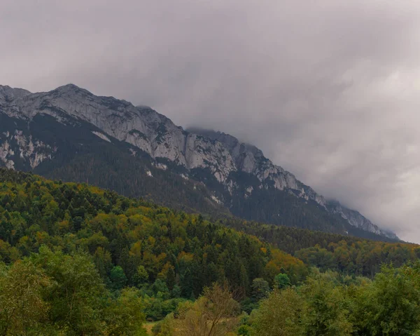 Uma Bela Vista Altas Montanhas Rochosas Com Vegetação Romênia — Fotografia de Stock