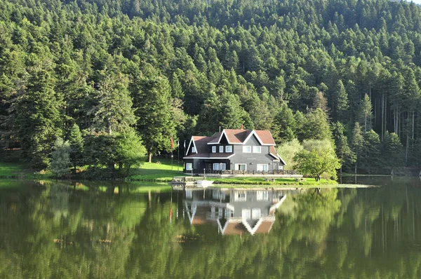 湖を背景に緑の森のある家の水平撮影 ゴルク自然公園 トルコ — ストック写真