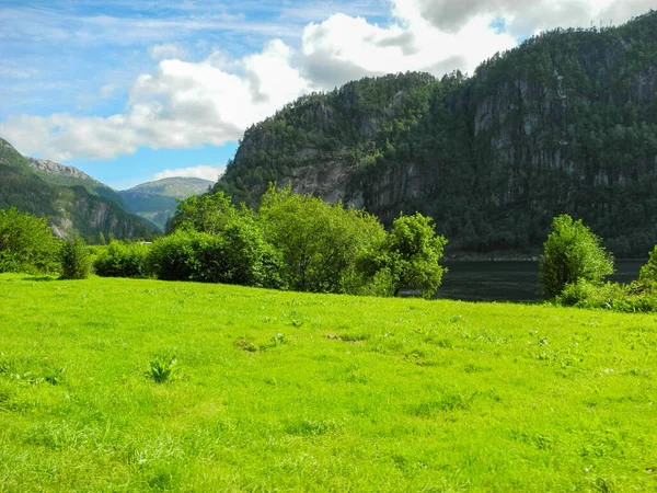 View Mountains Fresh Green Grass Field — Stock Photo, Image