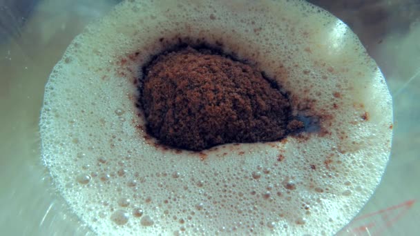 Bebida Caliente Poner Poco Chocolate Polvo Leche Almendra Vegana — Vídeos de Stock