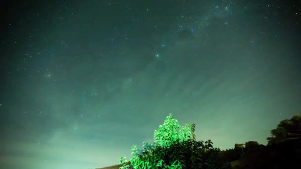 Μια Όμορφη Θέα Του Γαλαξία Πάνω Από Ένα Τοπίο Δέντρα — Αρχείο Βίντεο