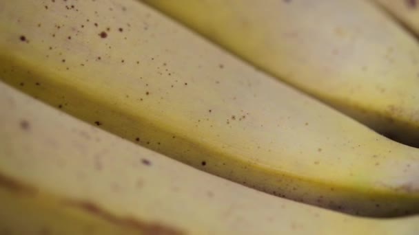 Closeup Shot Bunch Ripe Bananas — Stock Video