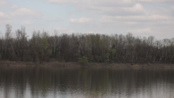 Piękny Widok Jezioro Rano — Wideo stockowe