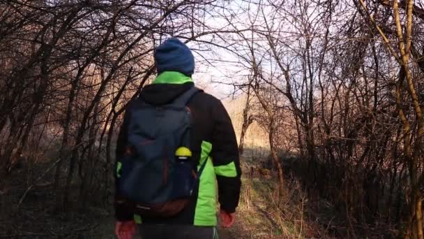 Uma Visão Traseira Homem Caminhando Floresta Densa Com Seu Cachorro — Vídeo de Stock