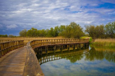 A horizontal shot of a wooden walkway bridge with railing on the river, Tablas de Daimiel National Park, Spain clipart