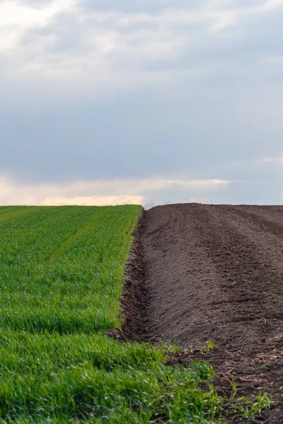 Ett Jordbruksfält Den Molniga Himlen — Stockfoto