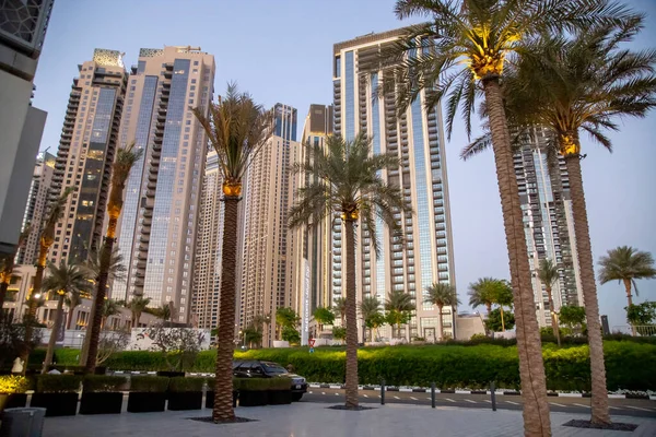 Dubai City Scape Palm Trees Lights Tall Buildings — Stock Photo, Image