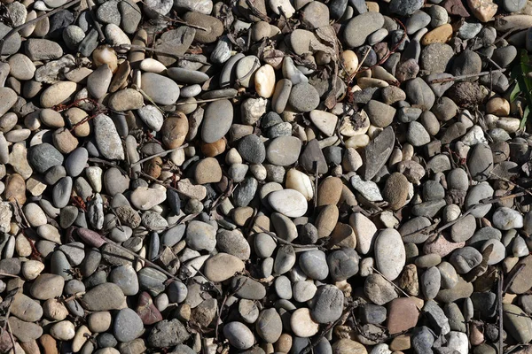 Tiro Perto Uma Pilha Pedras Marinhas Seixos — Fotografia de Stock