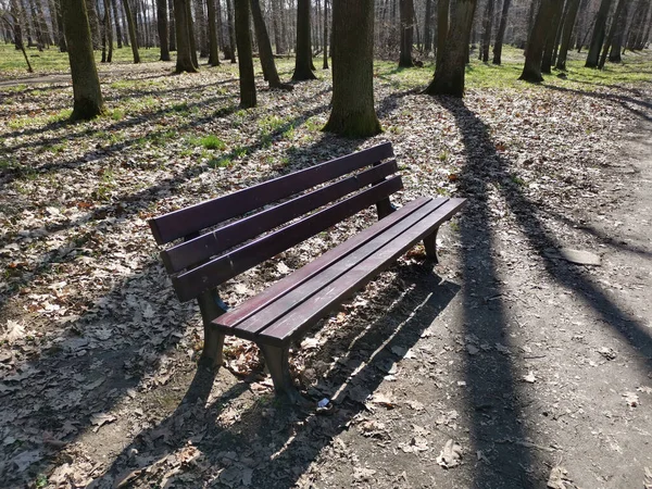 공원에 의자의 — 스톡 사진